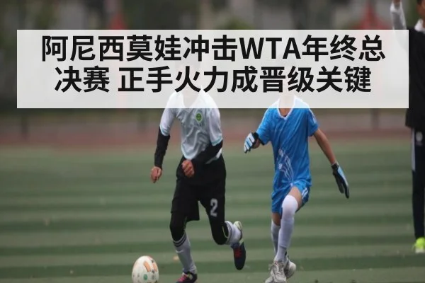 阿尼西莫娃冲击WTA年终总决赛 正手火力成晋级关键 | kaiyun